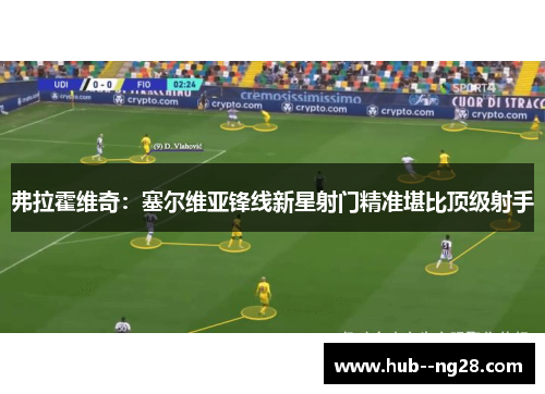 弗拉霍维奇：塞尔维亚锋线新星射门精准堪比顶级射手