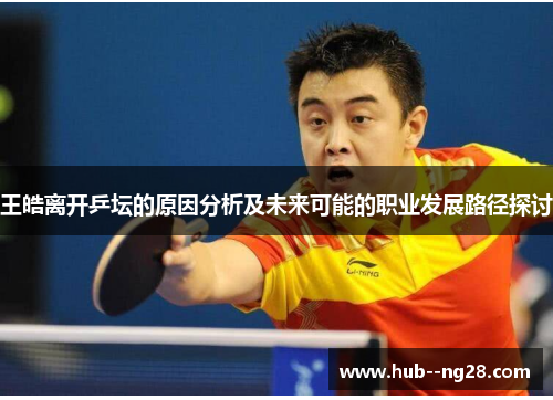 王皓离开乒坛的原因分析及未来可能的职业发展路径探讨