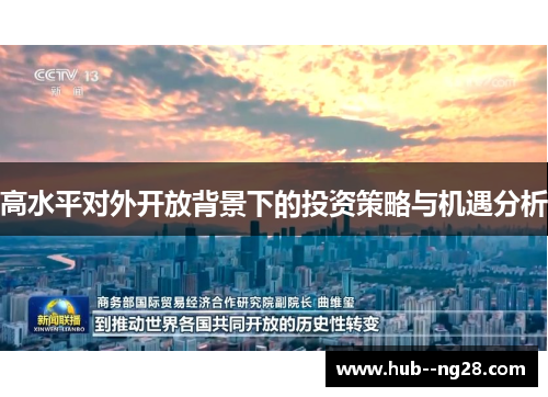 高水平对外开放背景下的投资策略与机遇分析